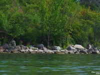 66484CrLeUsmNr - Kayak outing on Lake Ontario (Duffins Creek to Paradise Beach) with Beth - Andy.JPG